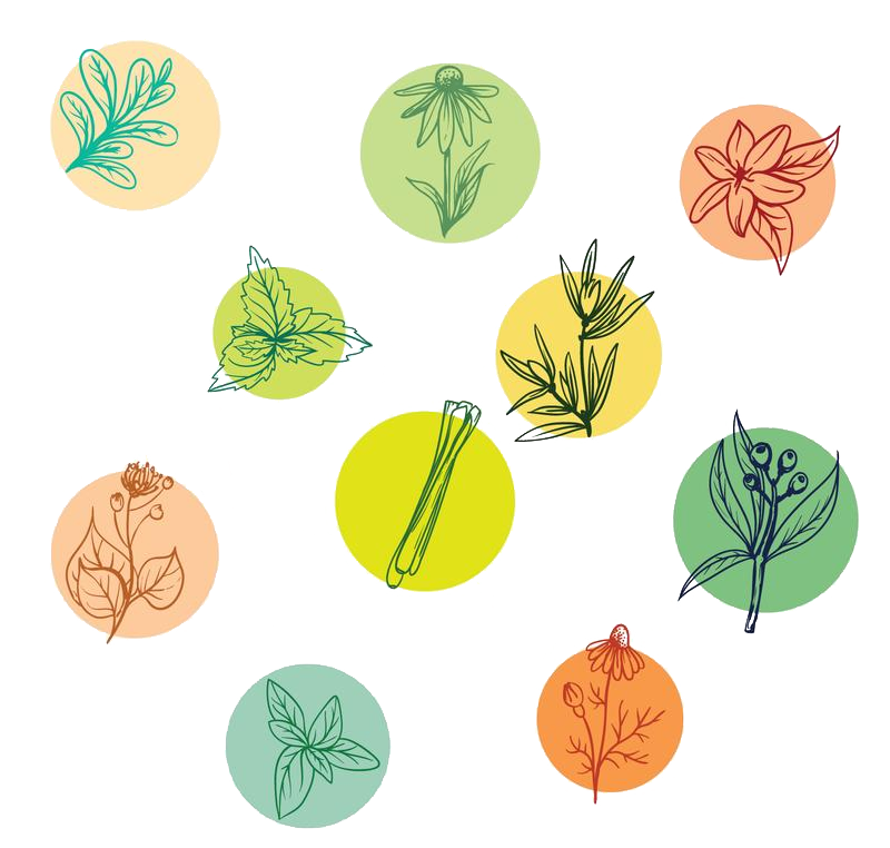 Ayurise Healthcare single drug medicine